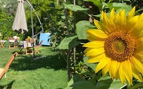 Lemon-Ada Butik Otel